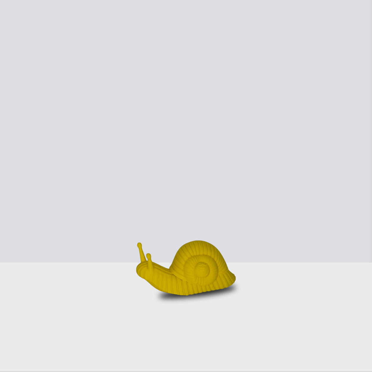 Schnecke